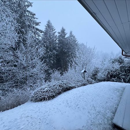 Apartment Maja Unmittelbar An Der Skipiste Winterberg Bagian luar foto