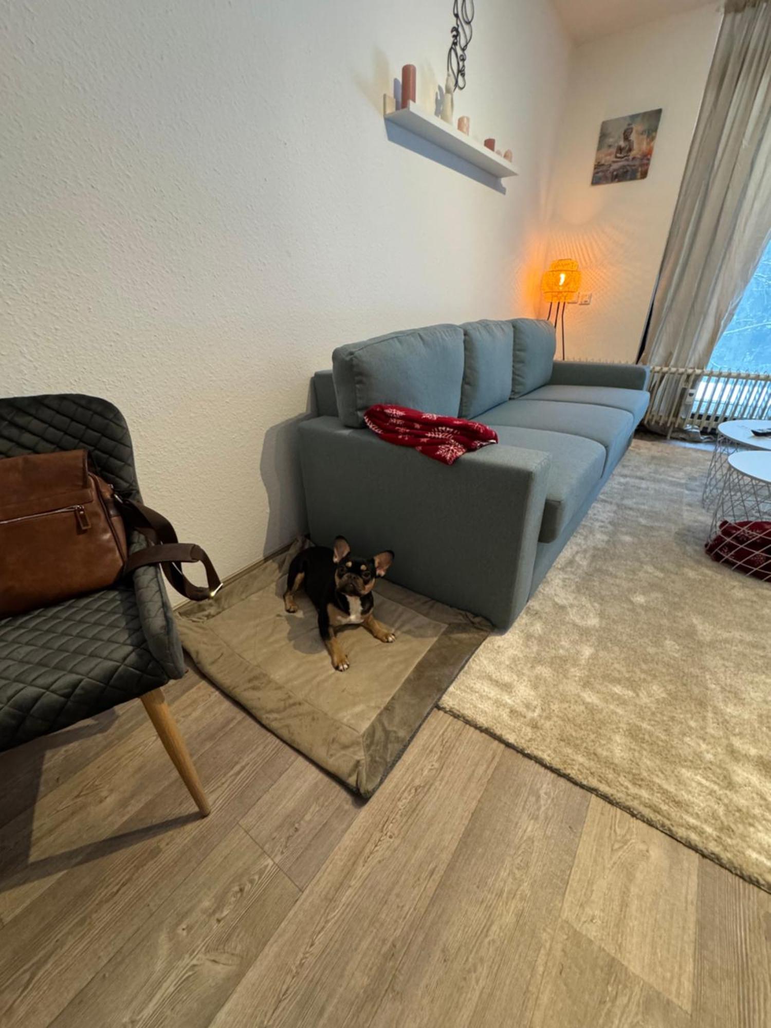 Apartment Maja Unmittelbar An Der Skipiste Winterberg Bagian luar foto