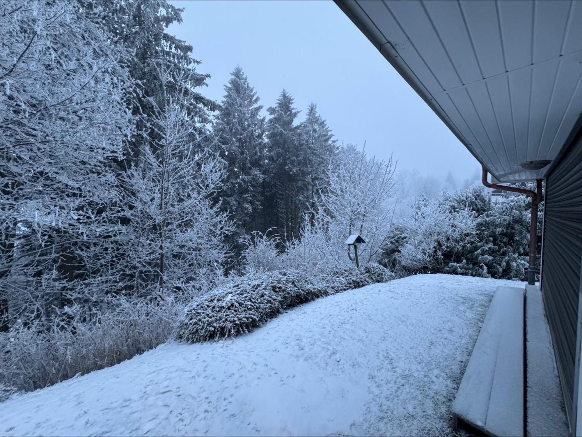 Apartment Maja Unmittelbar An Der Skipiste Winterberg Bagian luar foto